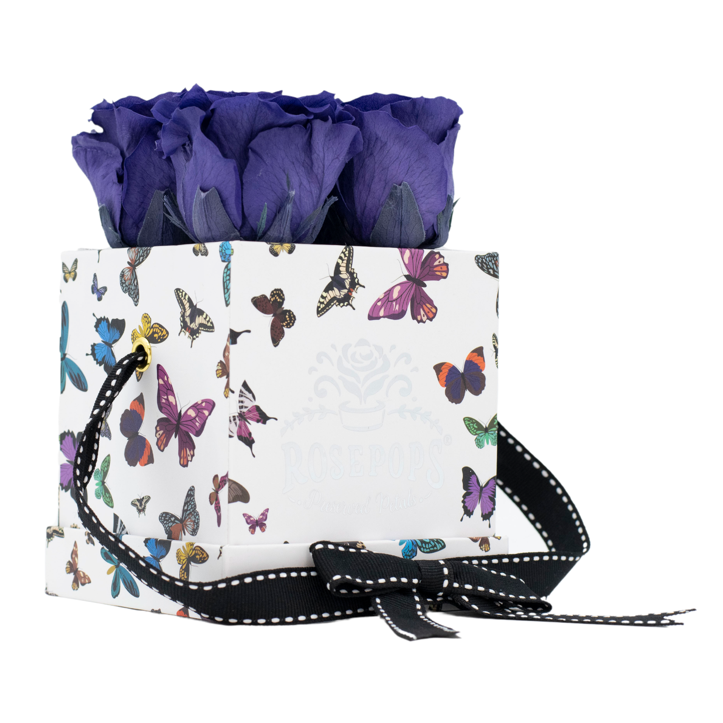 Butterfly Fourget me not DELUXE