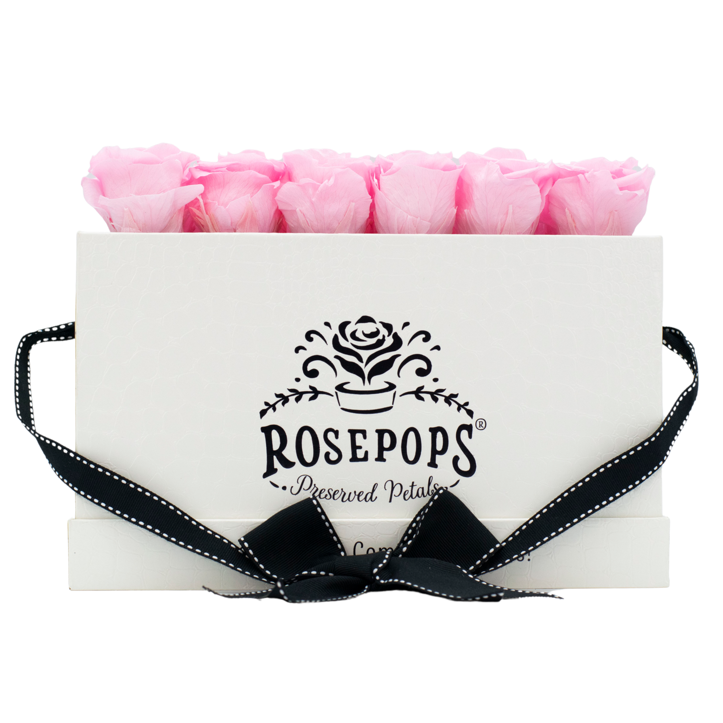 White Monogrammed Pop of the Line - 18 Cotton Candy Roses