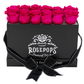Black Monogrammed Keeper by the Dozen - 12 Deep Pink Roses