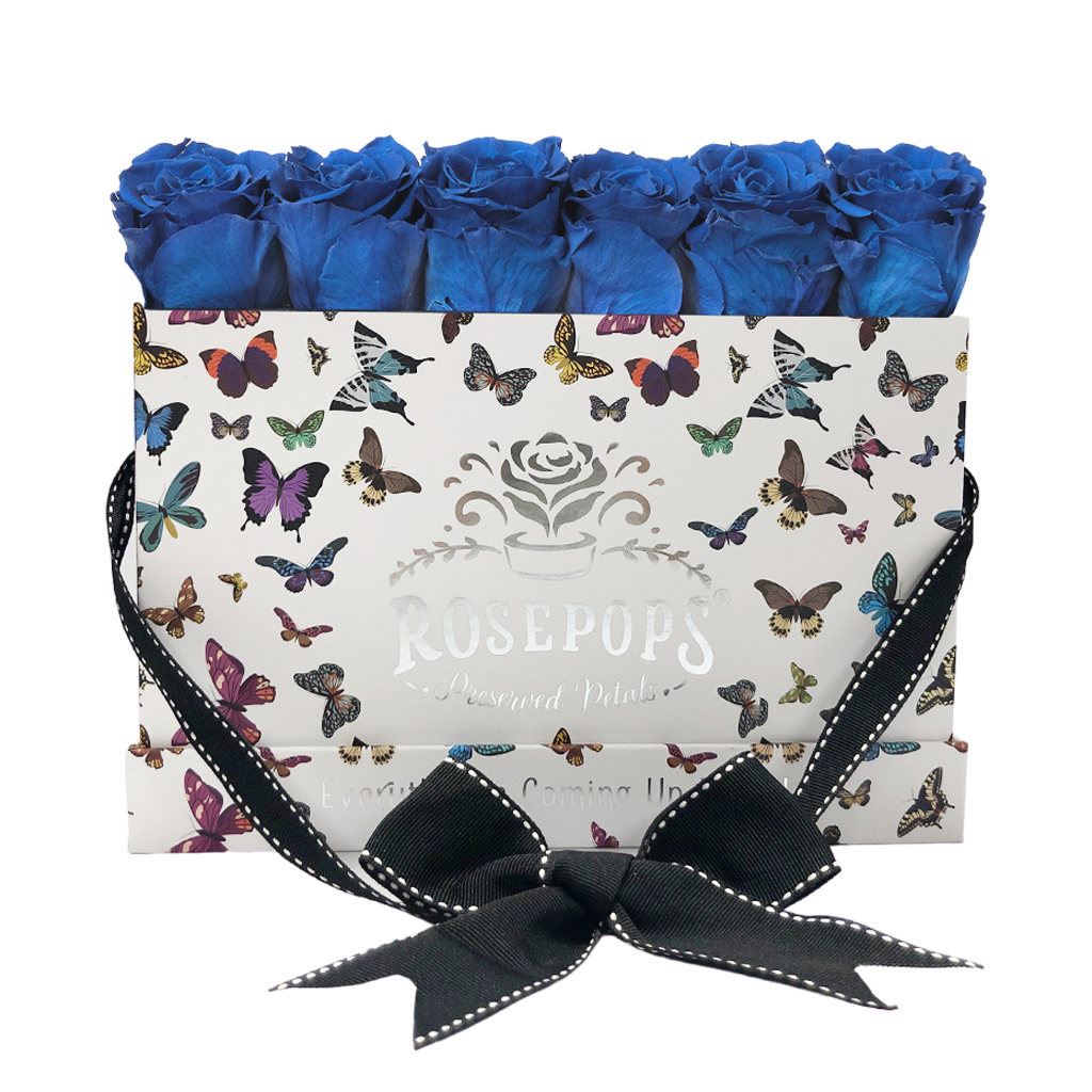 Blueberry Blast Butterfly Sixer Upper