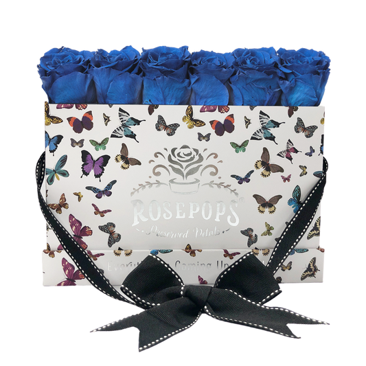Blueberry Blast Butterfly Sixer Upper