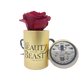 Disney Beauty & the Beast Limited Edition Golden One Up