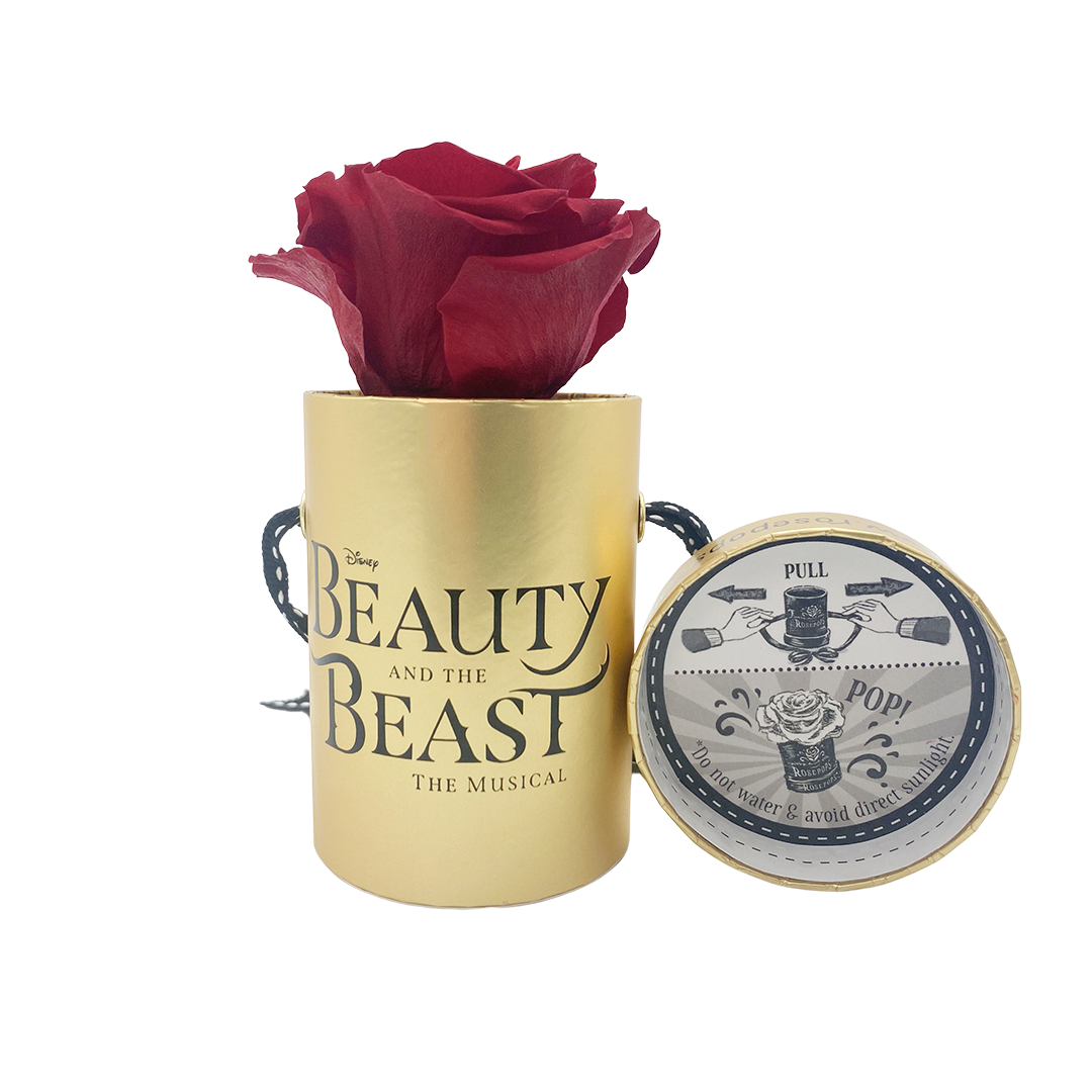 Disney Beauty & the Beast Limited Edition Golden One Up