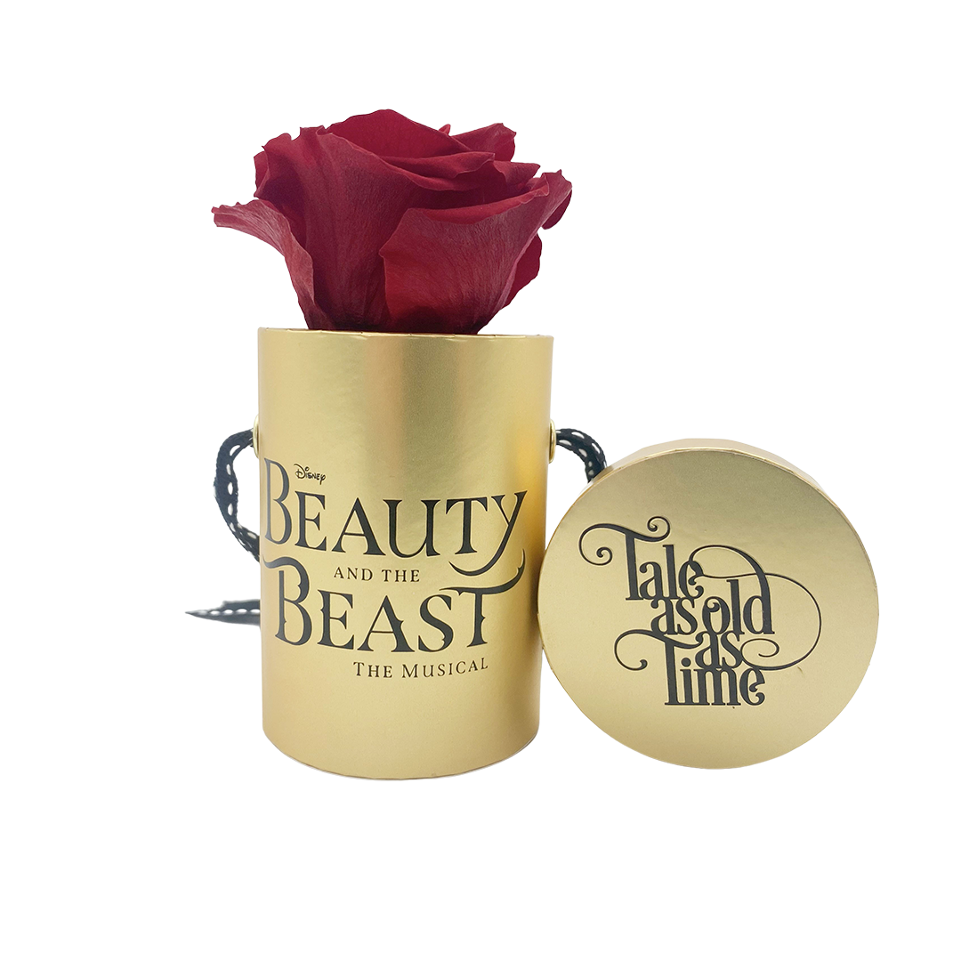 Disney Beauty & the Beast Limited Edition Golden One Up