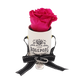 the raspberry delight 1