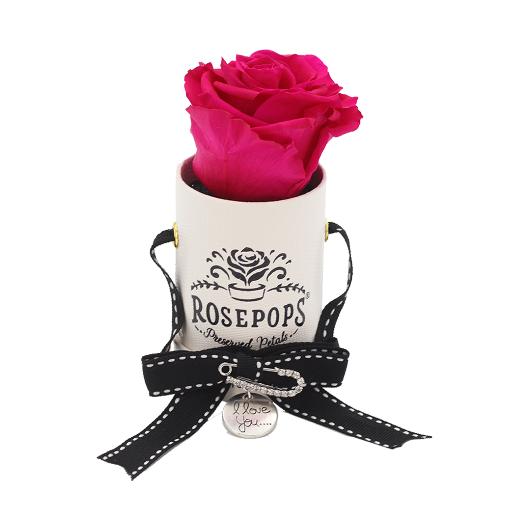 the raspberry delight 1