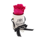 the raspberry delight 2