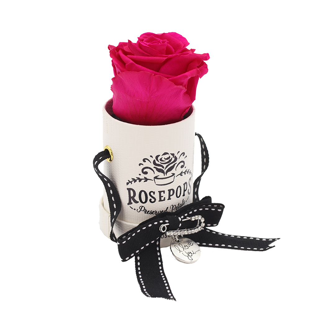 the raspberry delight 2