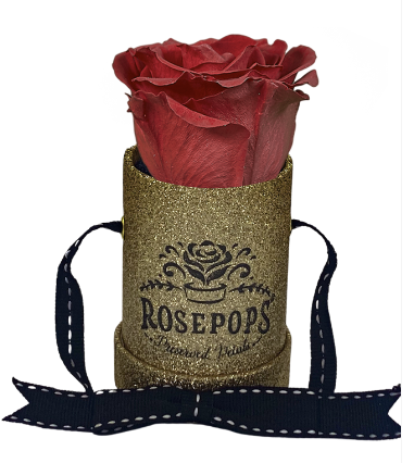 1 Rose Round - 14K Gold