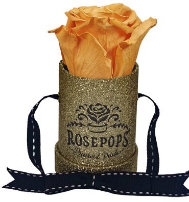1 Rose Round - 14K Gold