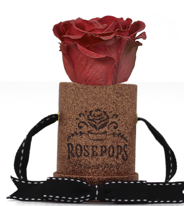 1 Rose Round - Rose Gold