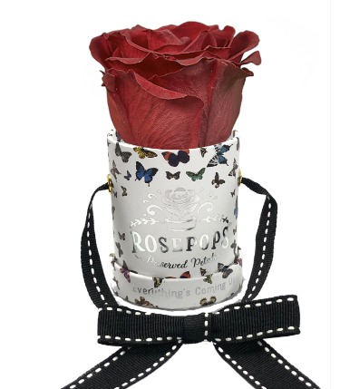 1 Rose Round - Butterfly