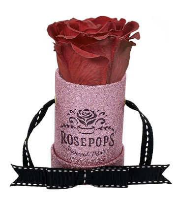 1 Rose Round - Hint of Pink