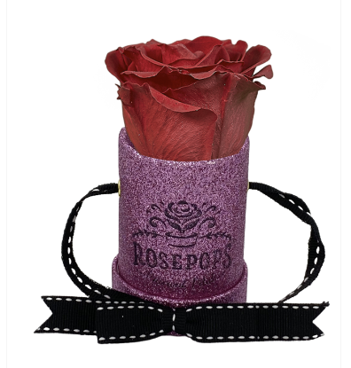 1 Rose Round - Perfect Pink