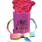 1 Rose Round - Hot Pink