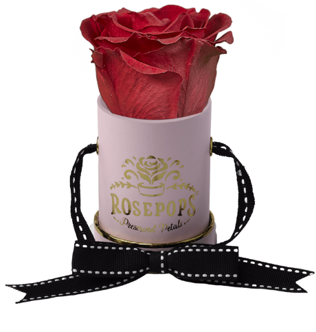 1 Rose Round - Pink with Gold