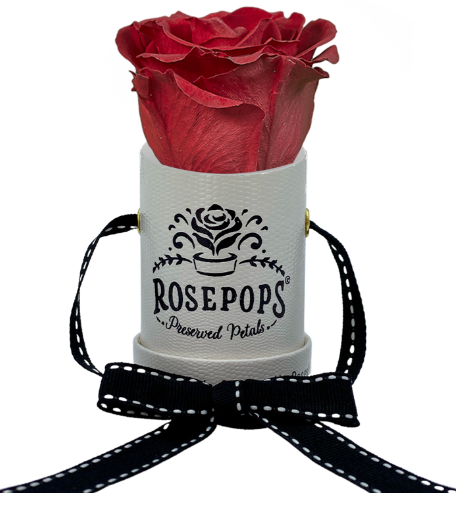 1 Rose Round - White Lizard