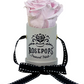 1 Rose Round - White Lizard