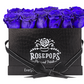 12 Roses Rectangle - Black Croc