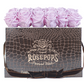12 Roses Rectangle - Chocolate