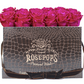 12 Roses Rectangle - Chocolate