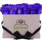 12 Roses Rectangle - Pink Croc