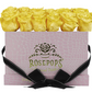 12 Roses Rectangle - Pink Croc