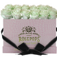 12 Roses Rectangle - Pink Croc