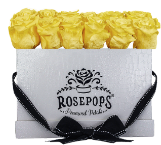 18 Roses Rectangle - White Croc