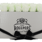 18 Roses Rectangle - White Croc