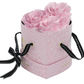 3 Roses Heart- Pink Croc