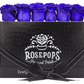 6 Roses Rectangle - Black Croc