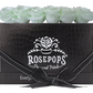 6 Roses Rectangle - Black Croc