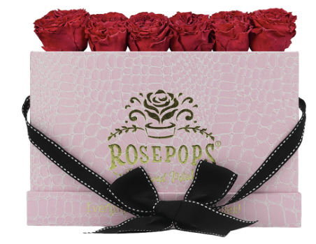 6 Roses Rectangle - Pink Croc