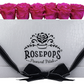 6 Roses Rectangle - White Croc