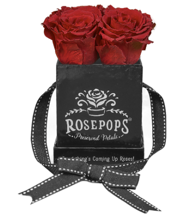 4 Roses Square - Black Lacquer