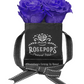 4 Roses Square - Black Lacquer