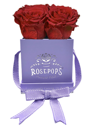 4 Roses Square - Lilac