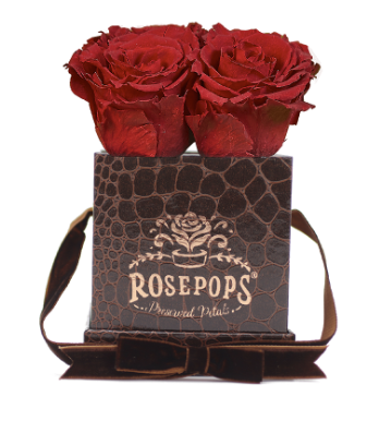 4 Roses Square - Chocolate