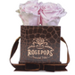 4 Roses Square - Chocolate