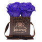 4 Roses Square - Chocolate