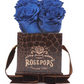 4 Roses Square - Chocolate