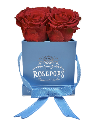 4 Roses Square - Sky Blue