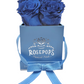 4 Roses Square - Sky Blue