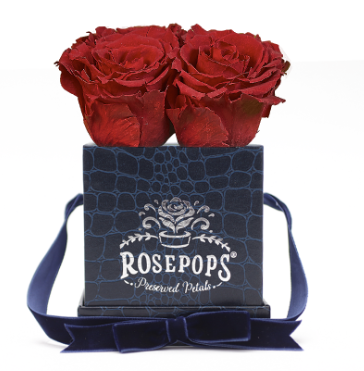 4 Roses Square - Sapphire