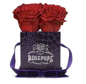4 Roses Square - Deep Violet