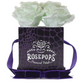 4 Roses Square - Deep Violet