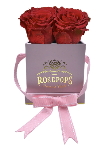 4 Roses Square - Petal Pink