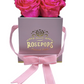 4 Roses Square - Petal Pink