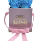4 Roses Square - Petal Pink